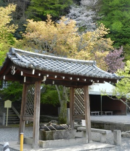 Horinji Temple Shinto Wash Basin, Horinji Temple Cherry Blossoms