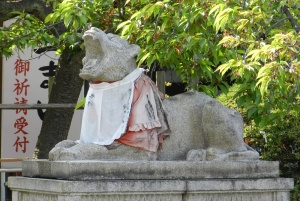 Komainu - the so-called lion dogs, guardians of the shrine, Horinji Temple tahoto, Horinji Temple Cherry Blossoms